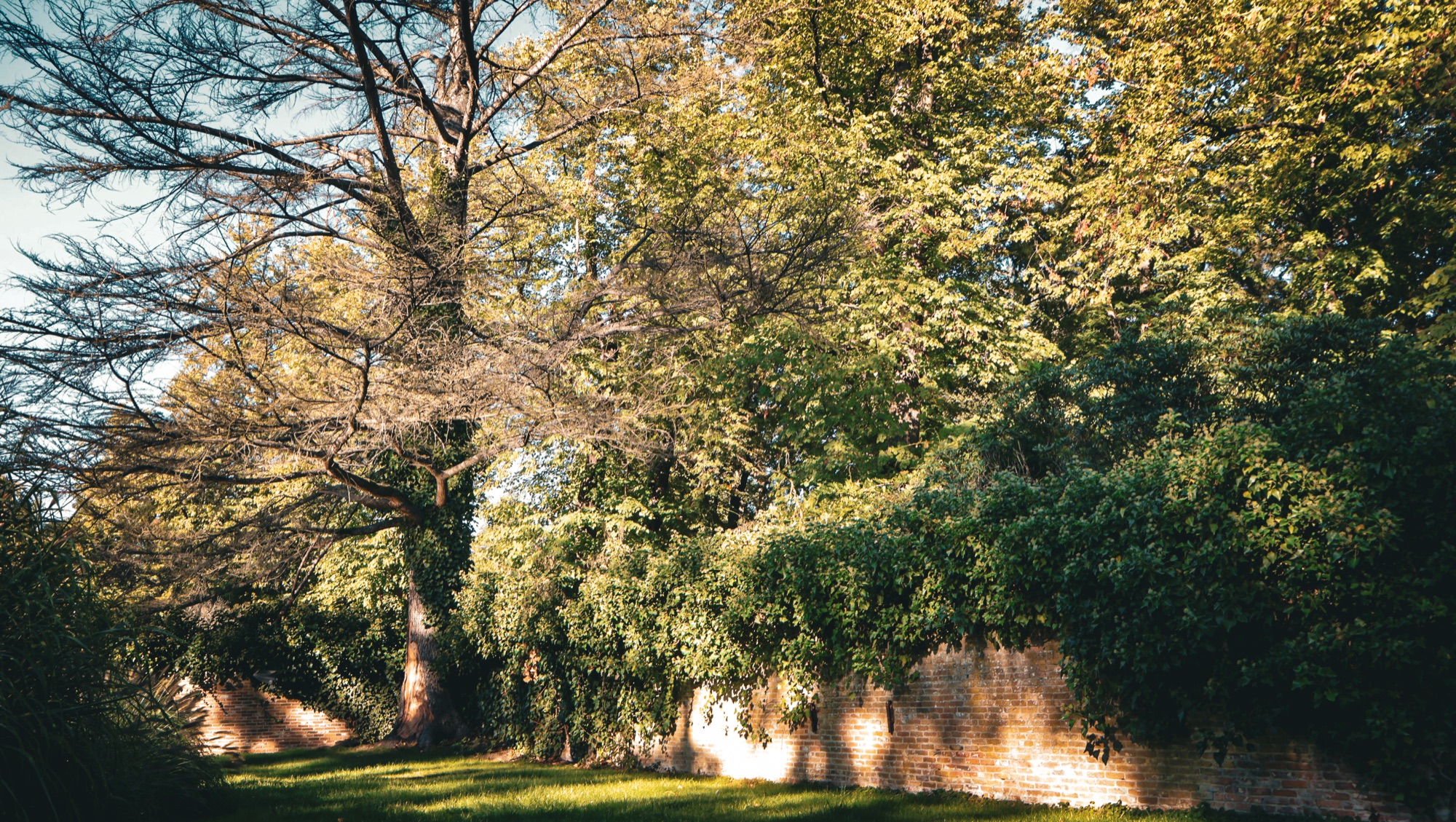 Historische tuinmuur en bomen op het domein