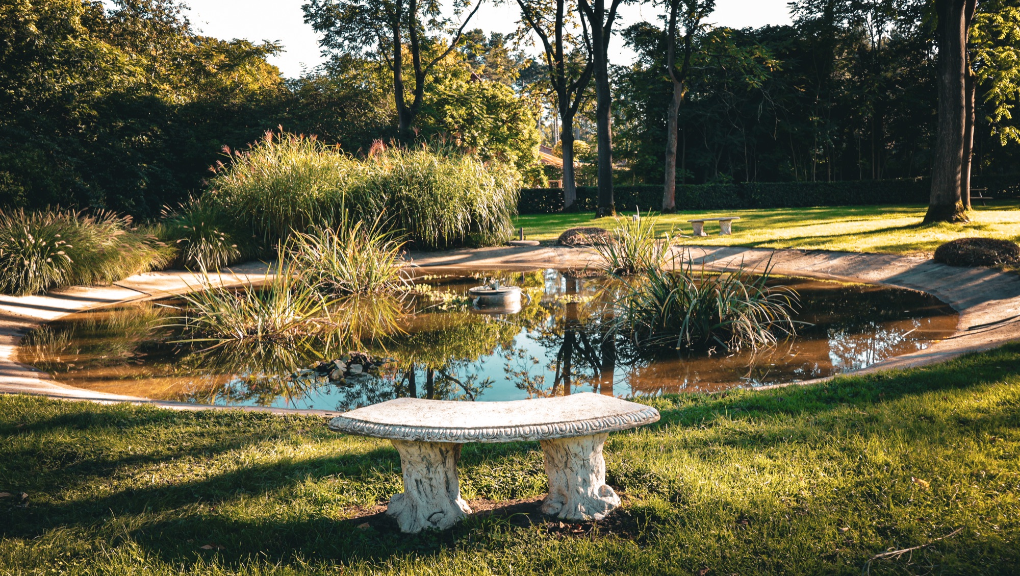 Vijver en fontein in de parktuin van Torenhof